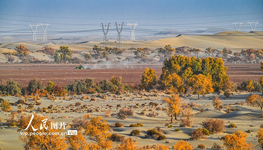 新疆生產建設兵團:筑起生態安全屏障【4】