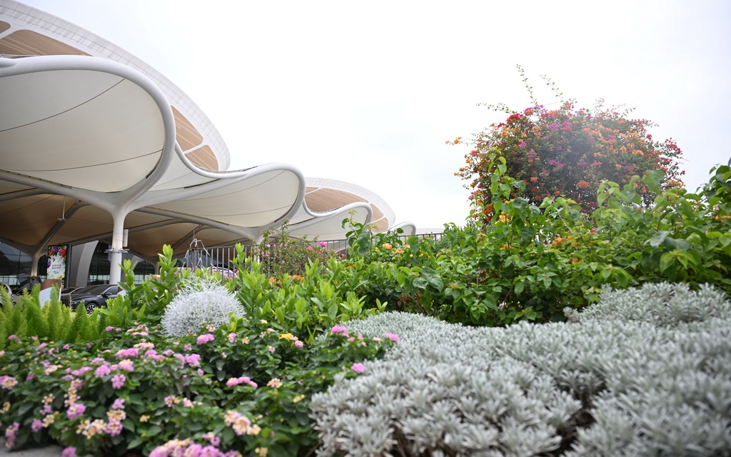 這是10月24日拍攝的廣州白云機場T3航站樓外景。