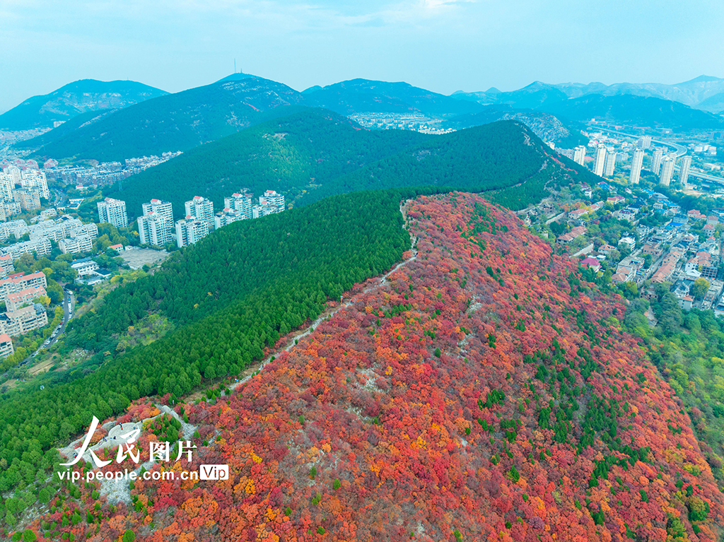 山東濟南：看秋色“平分”【2】