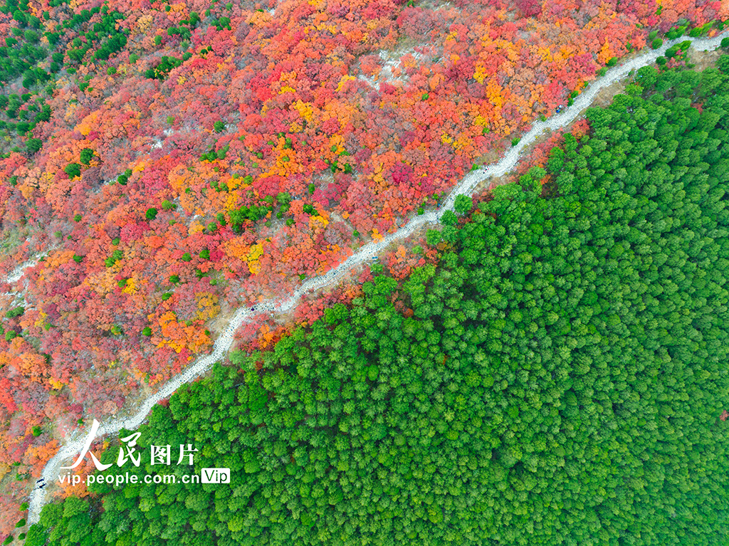山東濟南：看秋色“平分”【3】