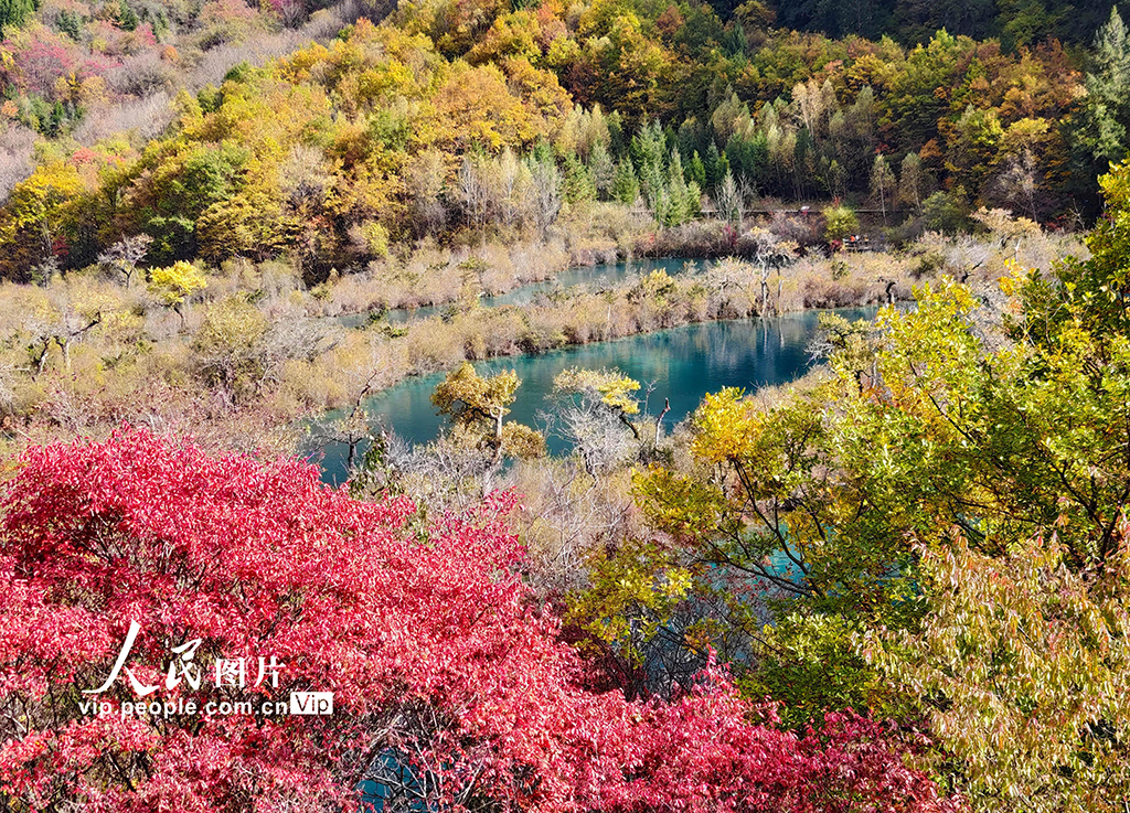 九寨溝 層林盡染【8】