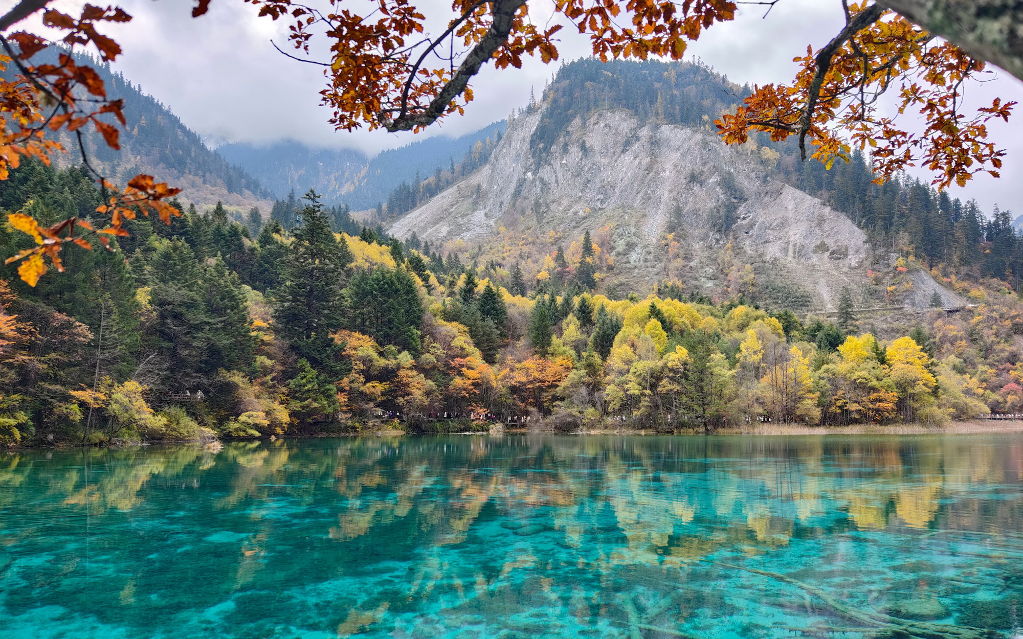 九寨溝 層林盡染