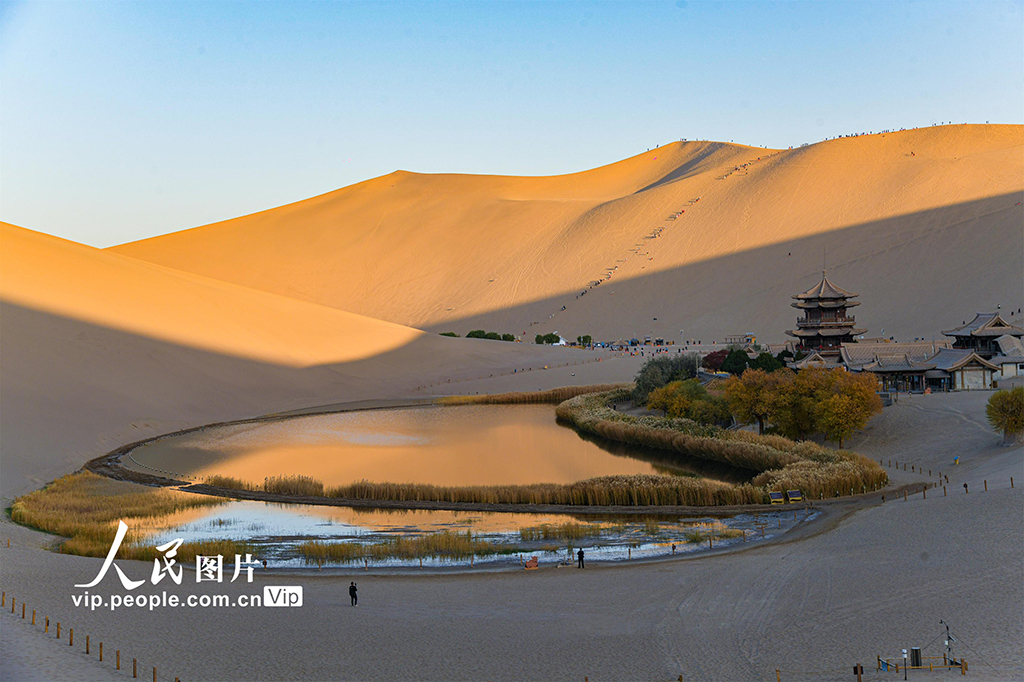 甘肅敦煌：大漠秋色醉游人【8】