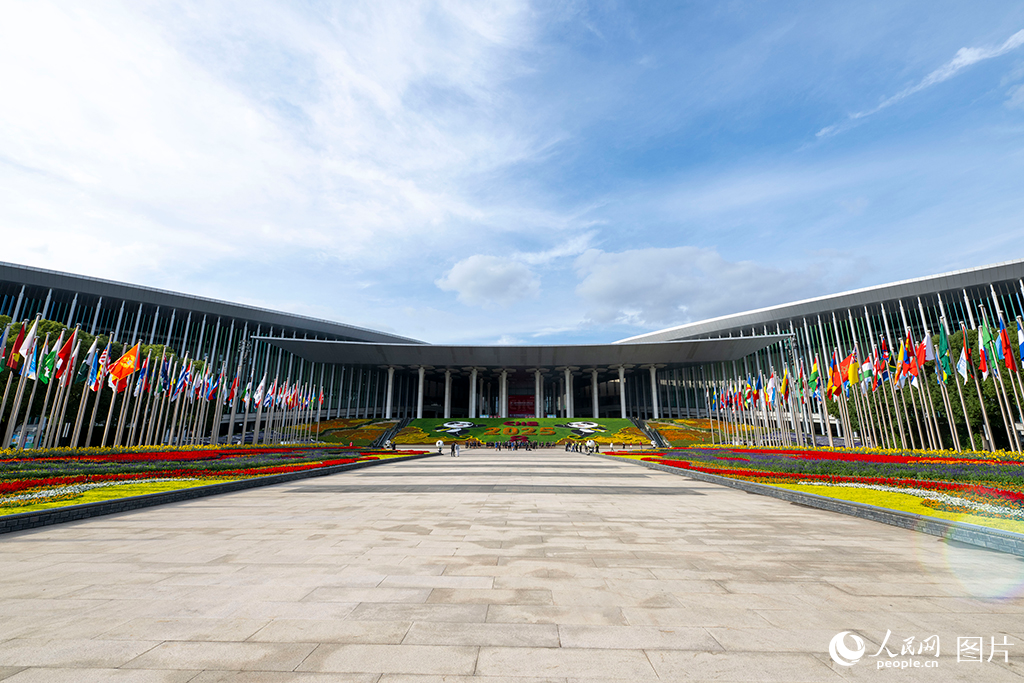 上海:花團錦簇 國旗飄揚迎盛會【7】