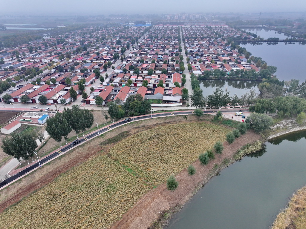 河北省滄州市青縣境內大運河堤頂路沿線的村莊（10月31日攝，無人機照片）。