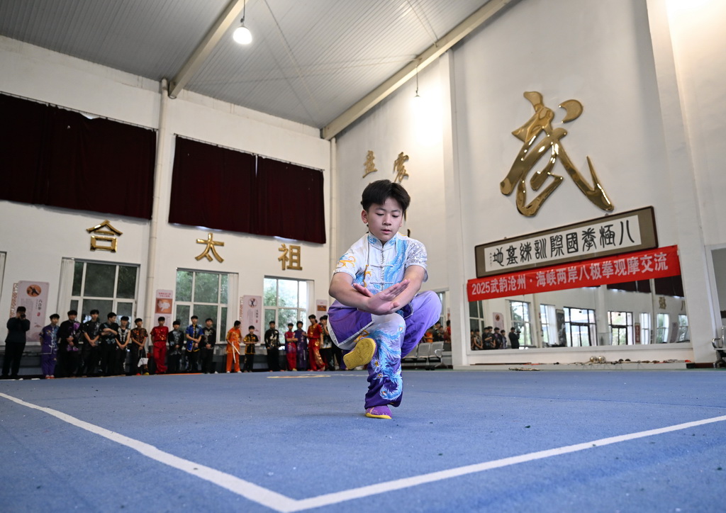 10月31日，在大運河堤頂路沿線的河北省滄州市青縣八極拳國際訓練基地，學員練習武術。