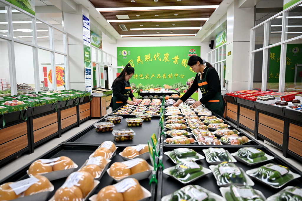 10月31日，大運河堤頂路沿線的河北省滄州市青縣司馬莊村綠豪農業專業合作社社員在整理蔬菜。