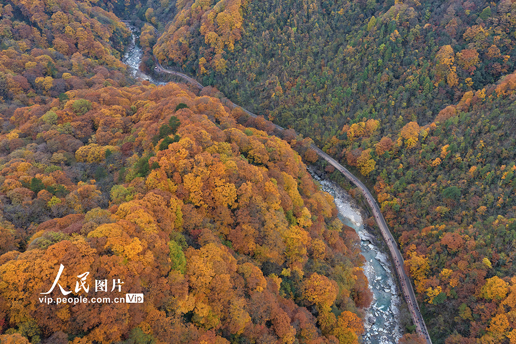 四川巴中：光霧山層林盡染【8】