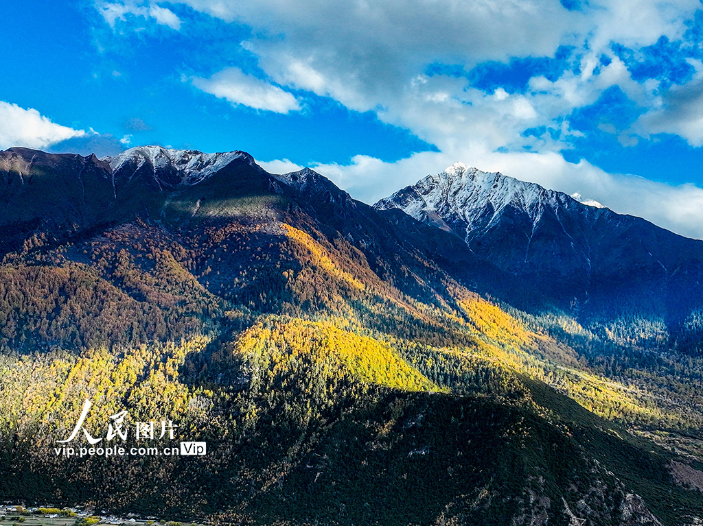 西藏林縣:雅魯藏布大峽谷秋景壯美【3】