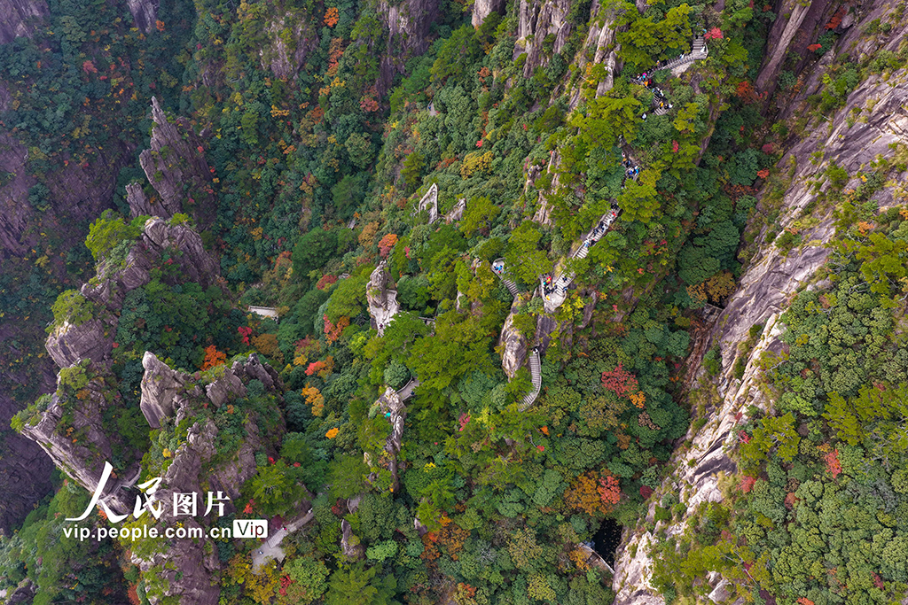 安徽黃山:峰林盡染秋意濃【4】
