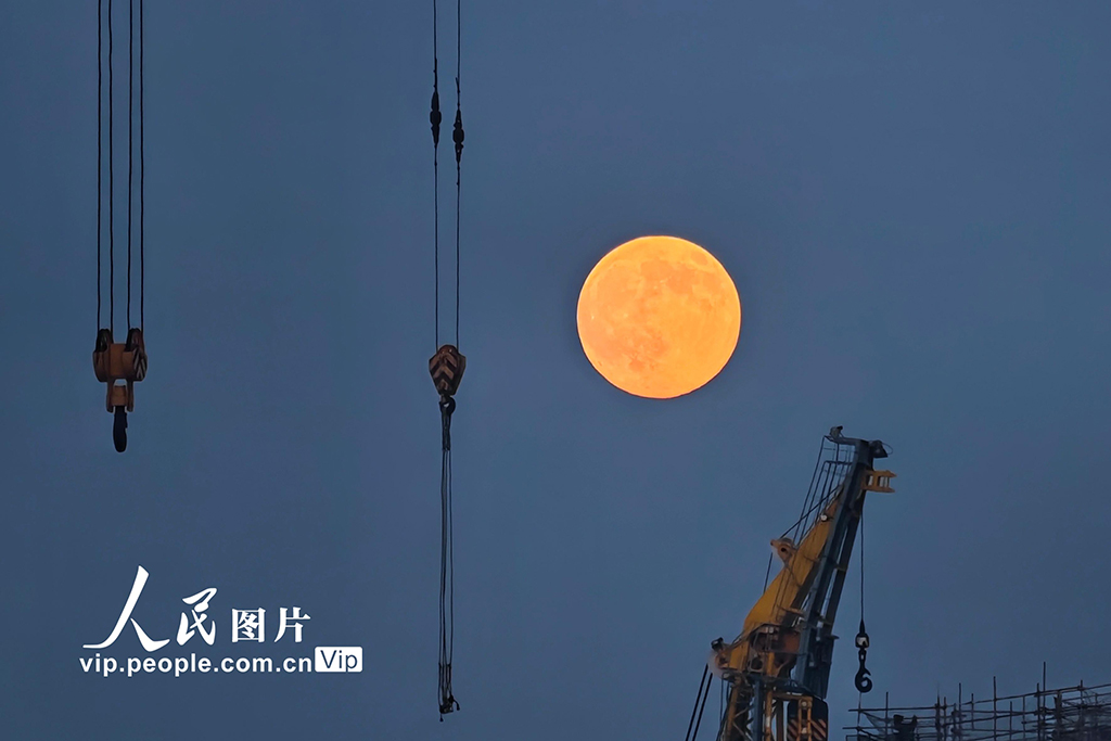2025年11月5日，遼寧大連，“超級月亮”亮相天宇。劉德斌攝（人民圖片網）