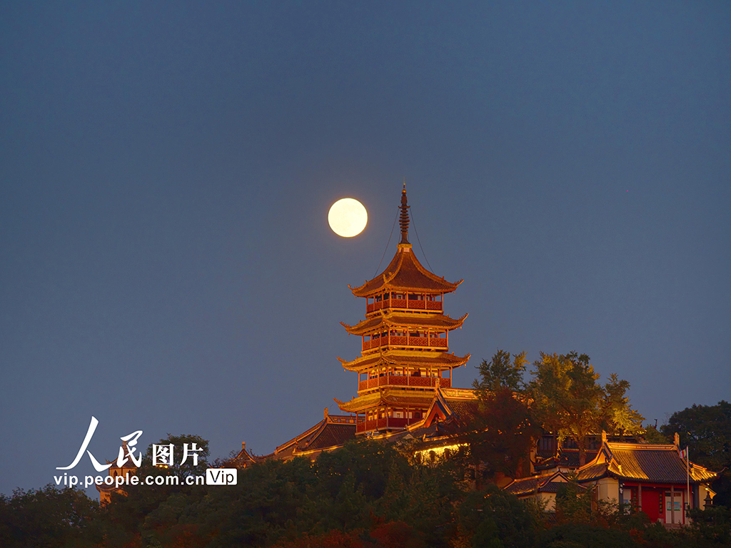 2025年11月5日晚，在江蘇省南通市崇川區拍攝的“超級月亮”與狼山國家森林公園支云塔。許叢軍攝（人民圖片網）