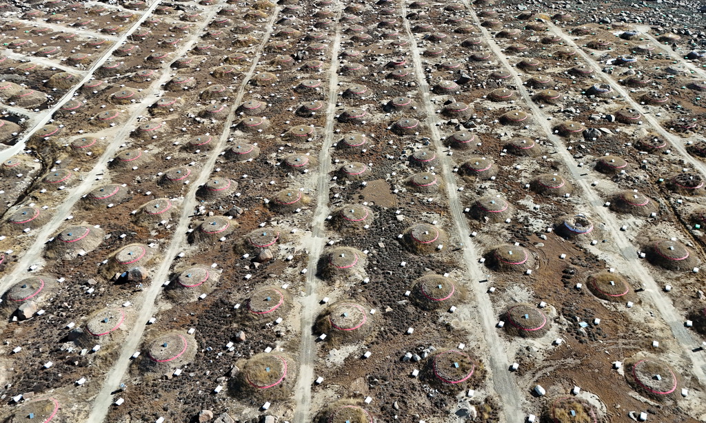 這是地面簇射粒子探測器陣列。埋在一個個“大土包”下面的1188個繆子探測器，和地面上一個個如“方盒子”的5216個電磁粒子探測器，它們共同組成地面簇射粒子探測器陣列（10月28日攝，無人機照片）。