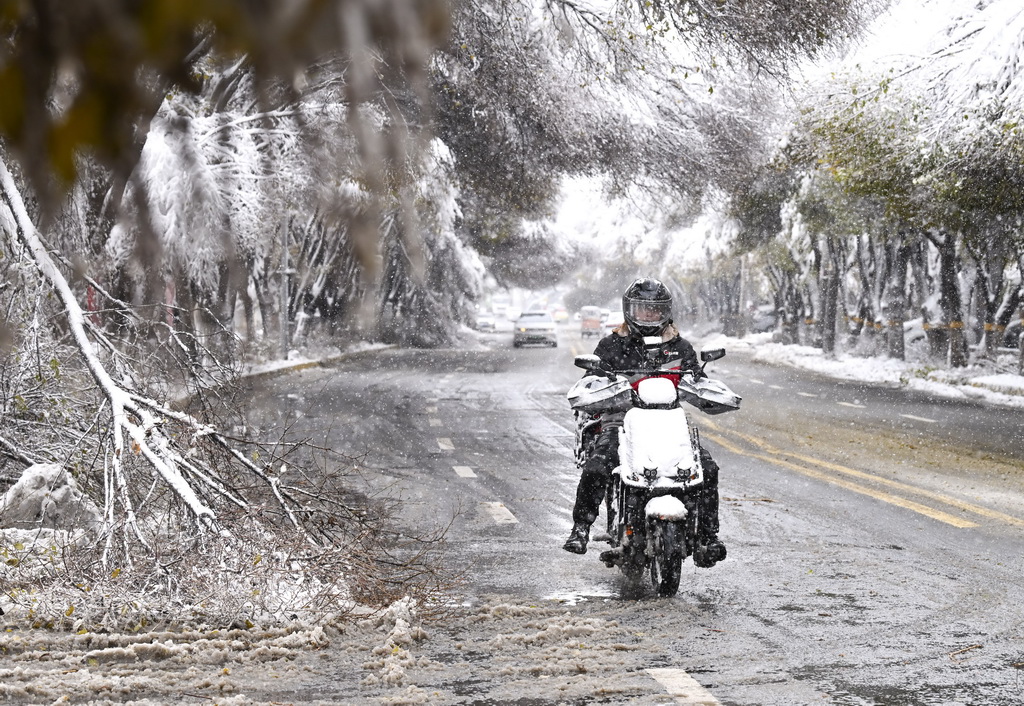 11月6日，在烏魯木齊市紅山路，一名外賣員在雪中騎行。新華社記者 王菲 攝