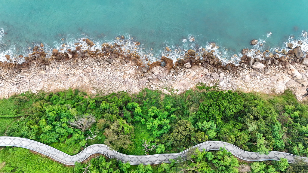 體育地理｜躍動大灣區