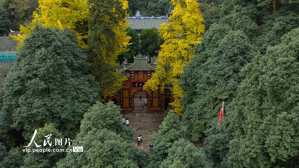 四川都江堰：青城山景區秋色美如畫【2】