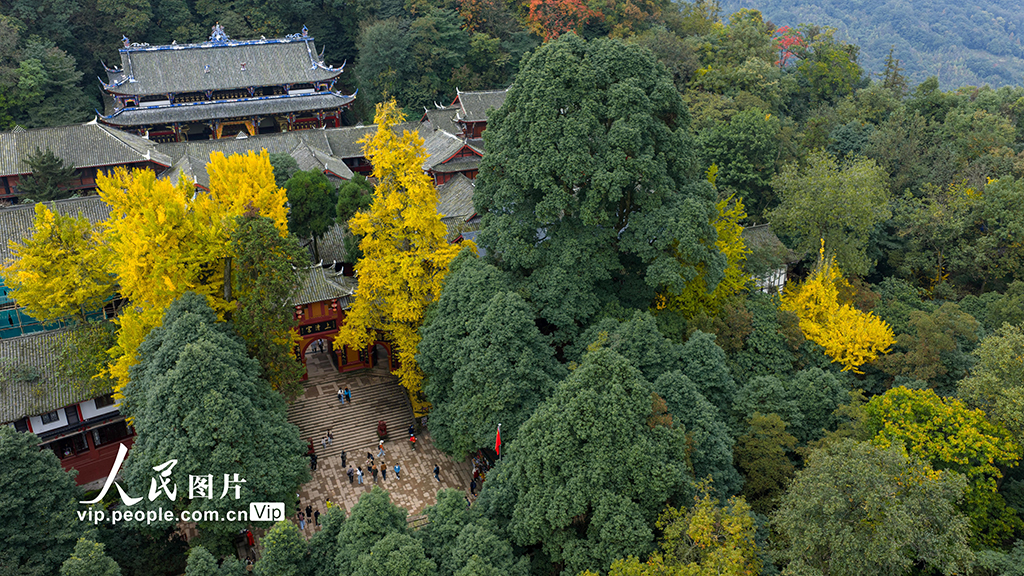 四川都江堰：青城山景區秋色美如畫【3】
