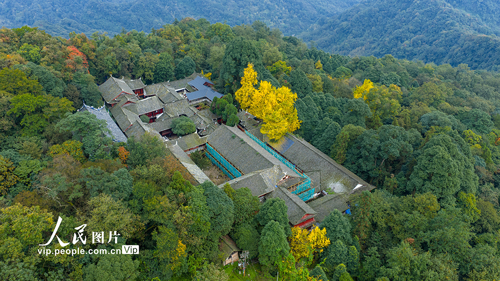 四川都江堰：青城山景區秋色美如畫【4】