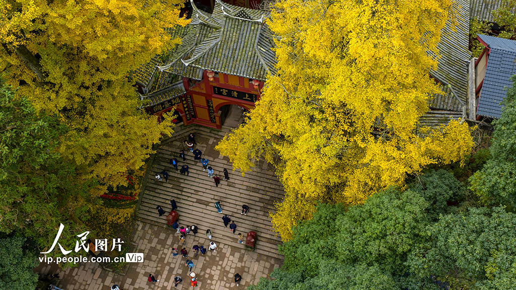 四川都江堰：青城山景區秋色美如畫【5】