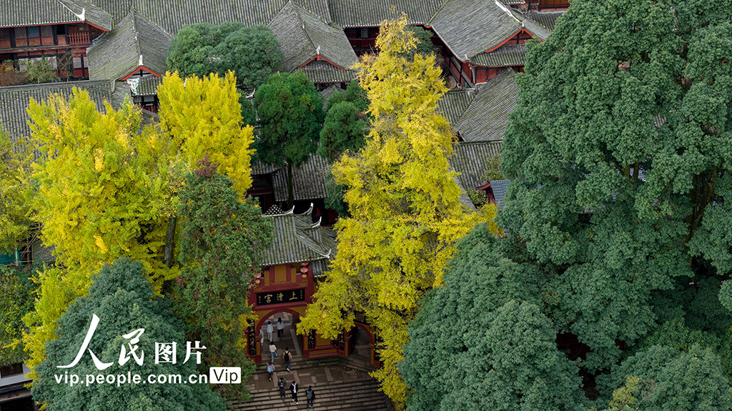 四川都江堰：青城山景區秋色美如畫【6】