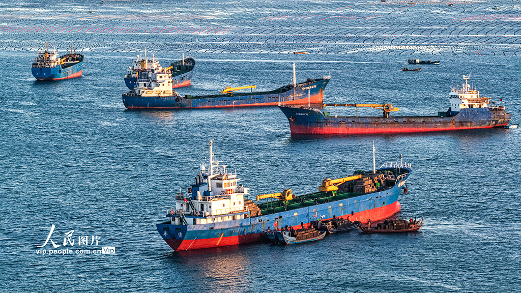 山東榮成:1200萬頭鮑魚南下“越冬”【3】