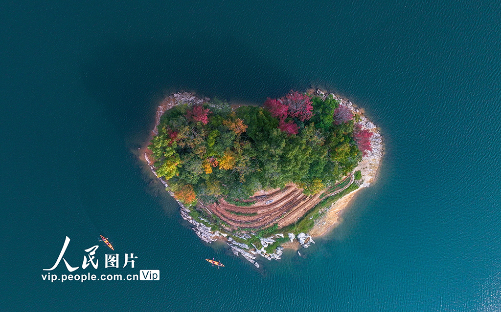 千島湖又迎一年紅葉季