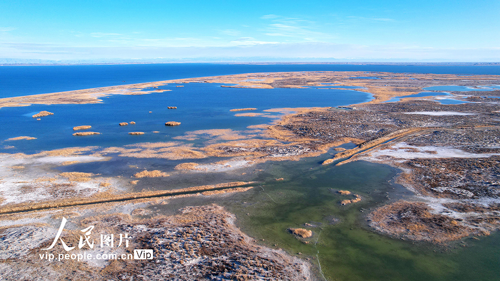 新疆福海:烏倫古湖國家濕地公園深秋美如畫【2】