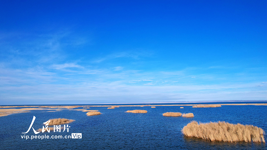 新疆福海：烏倫古湖國家濕地公園深秋美如畫【4】