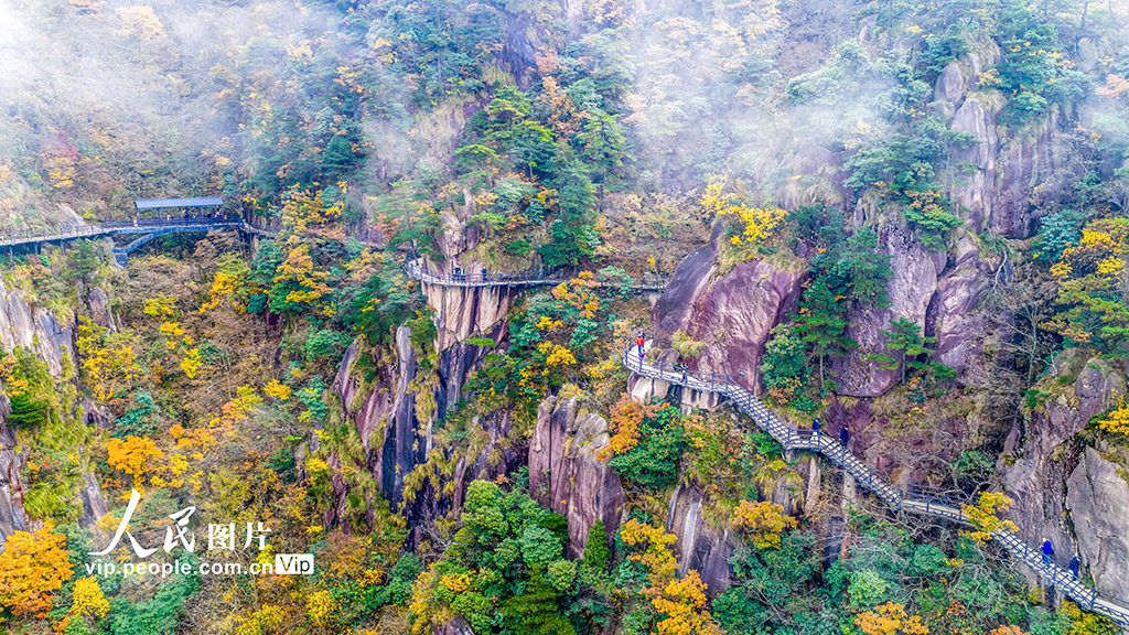 安徽池州：漫步高空棧道 欣賞絢麗秋色【6】