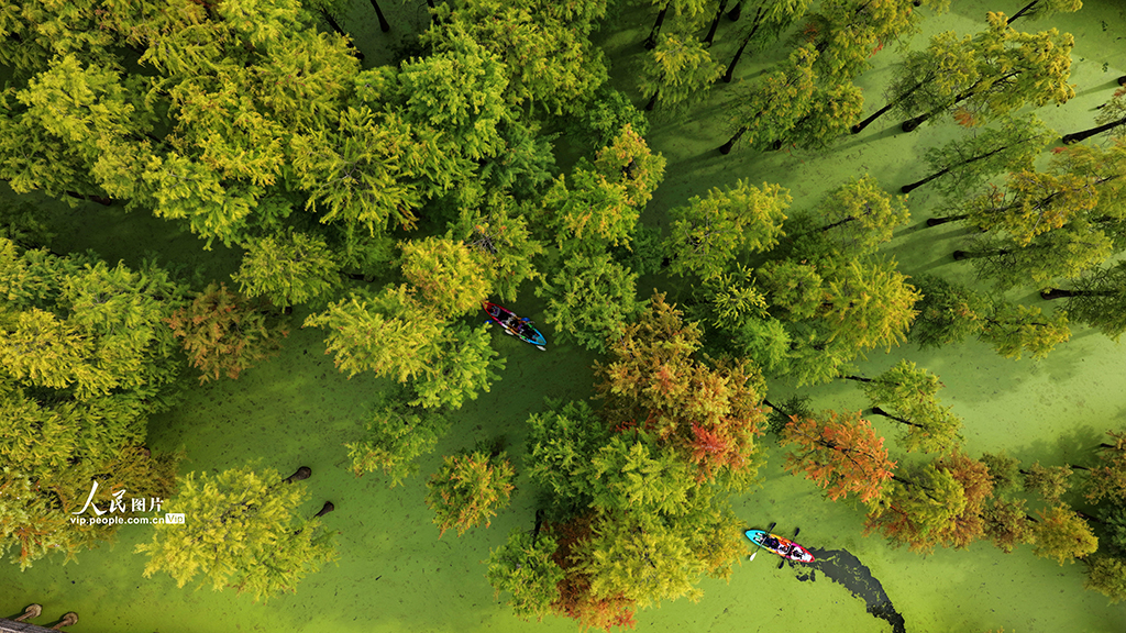 浙江杭州：青山湖秋色醉游人【3】