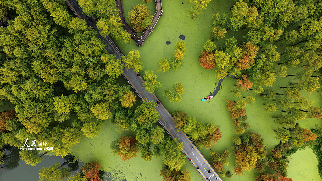 浙江杭州：青山湖秋色醉游人【2】