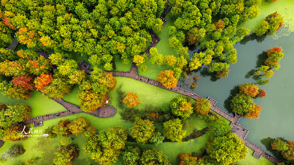 浙江杭州：青山湖秋色醉游人