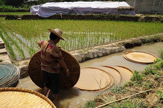 謝文汶川震區紀實