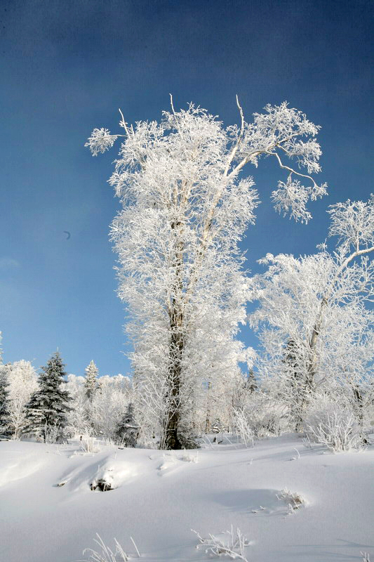 中國女攝影家協會“走進冰雪”攝影采風花絮