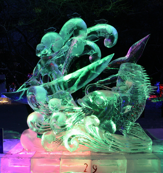 中國女攝影家協會“走進冰雪”攝影采風花絮