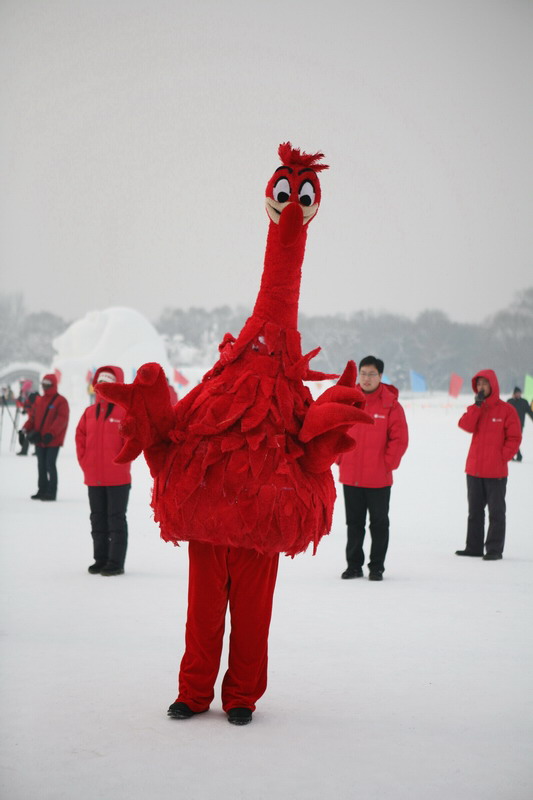 中國女攝影家協會“走進冰雪”攝影采風花絮