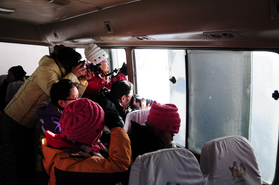 中國女攝影家協會“走進冰雪”攝影采風花絮