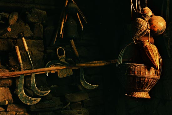 李曉英攝影作品