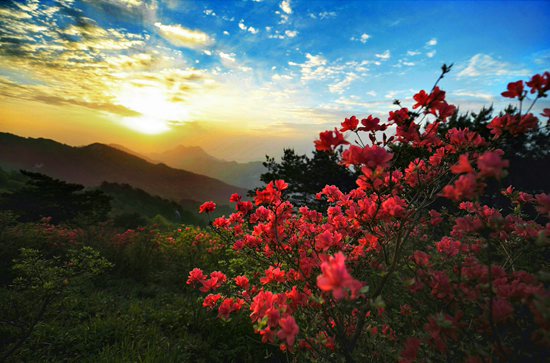 湖北省女攝影家作品展