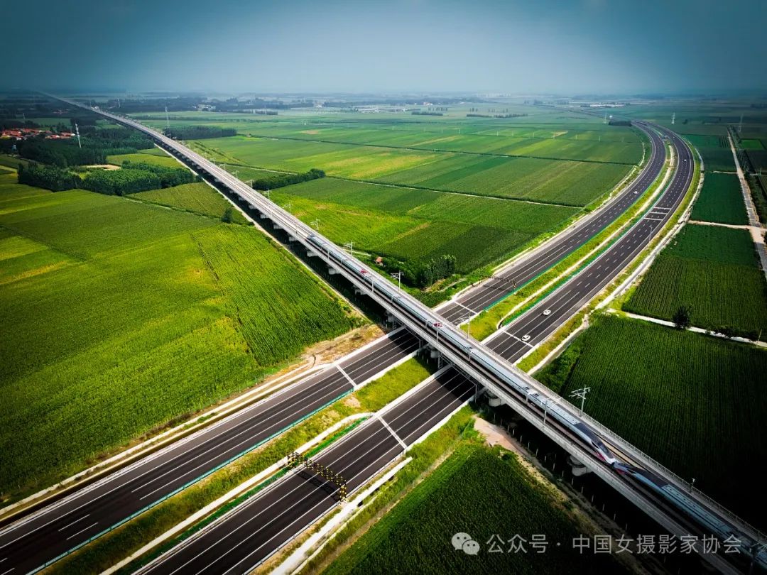 《縱貫南北》 崔家銘 攝