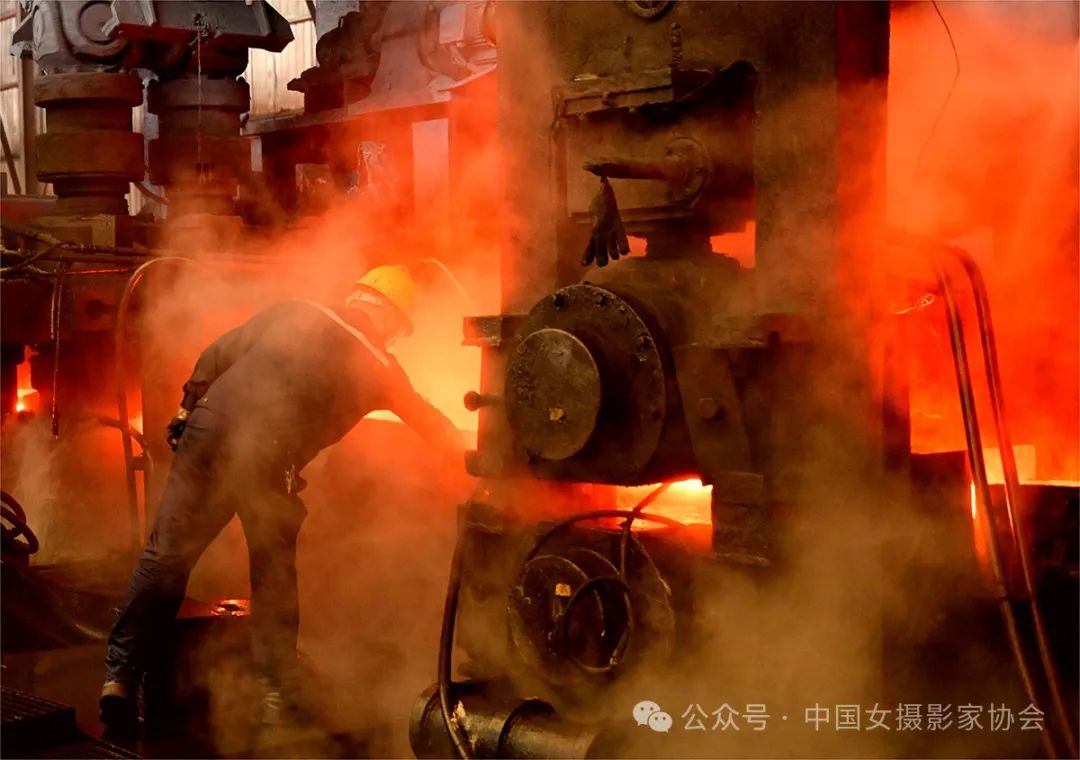 《綻放的魅力》 馮凱旋 攝