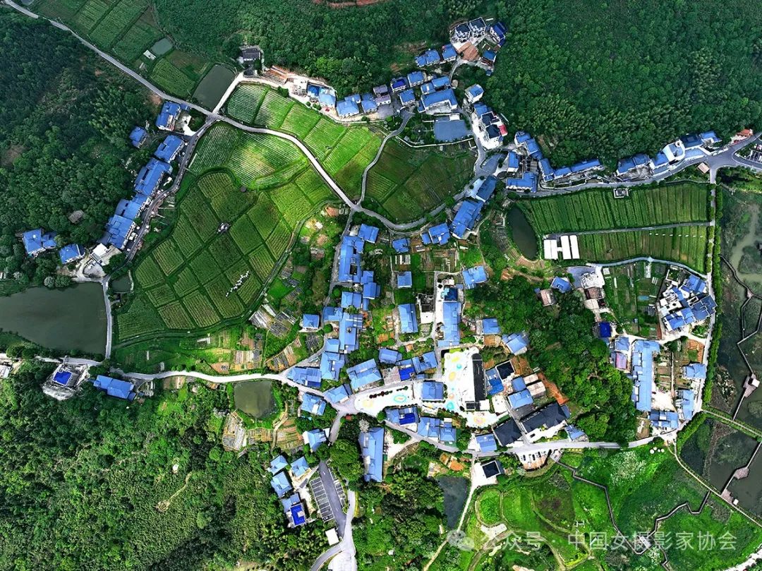 《小鎮春色》 何軍 攝