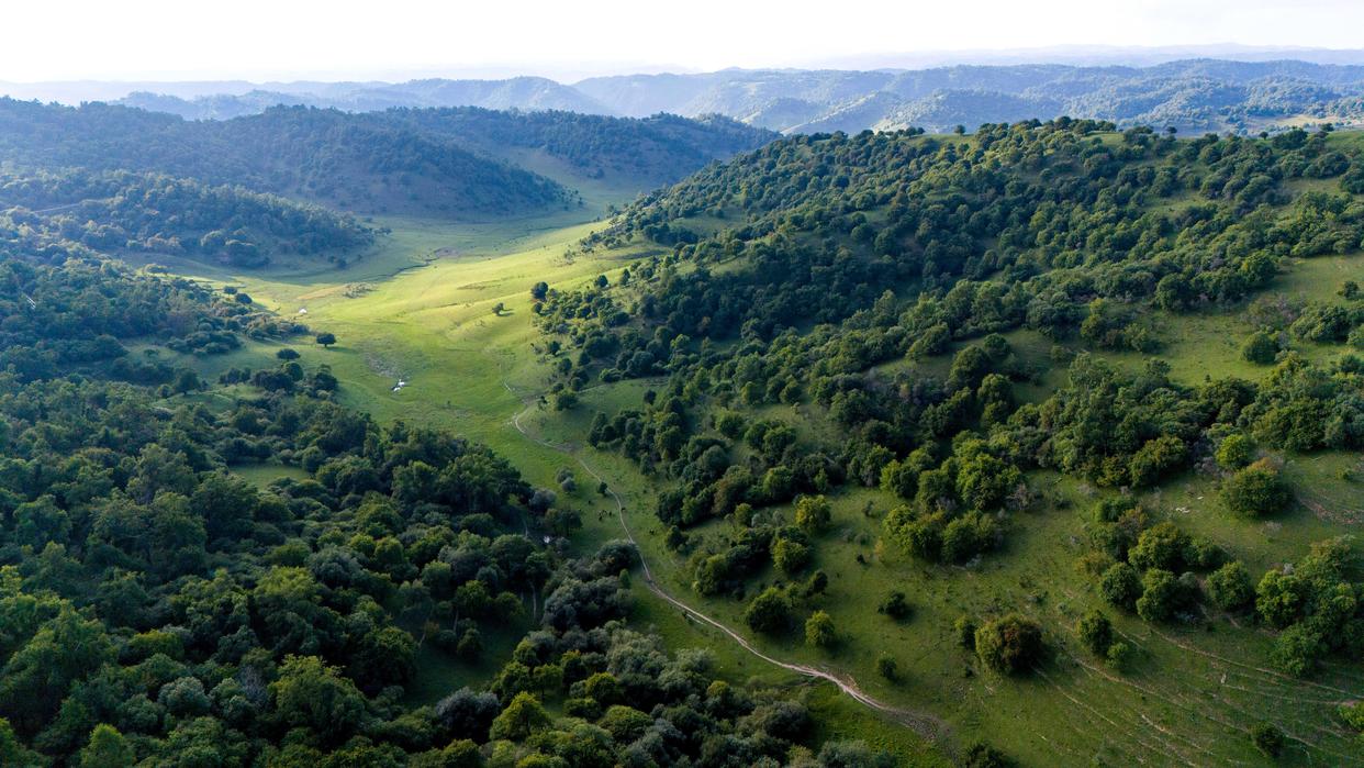 位于寶雞市隴縣的關山草原景區（無人機照片，2024年8月2日攝）。新華社記者 鄒競一 攝