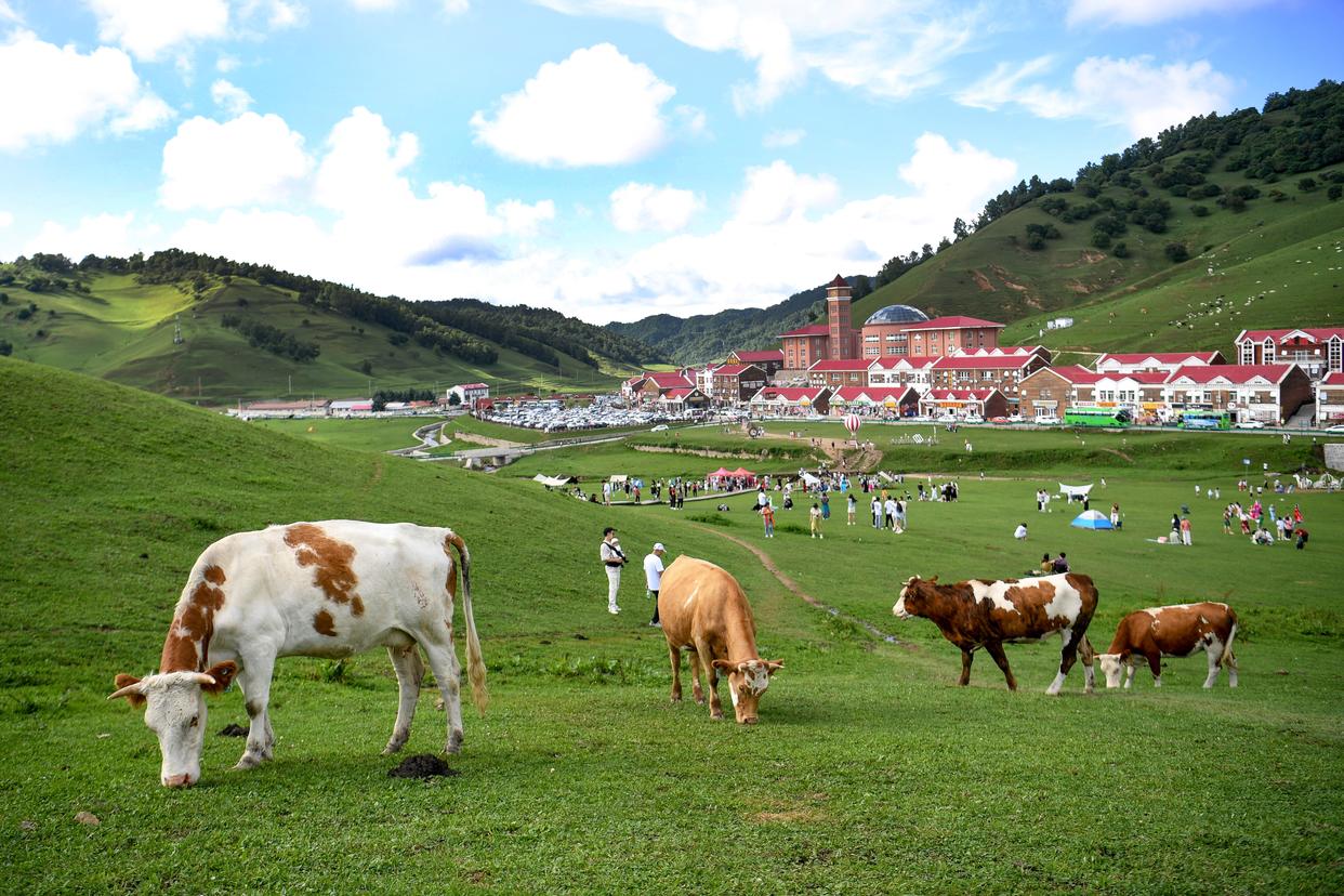 游客在位于寶雞市隴縣的關山草原景區游覽（2024年8月3日攝）。新華社記者 鄒競一 攝