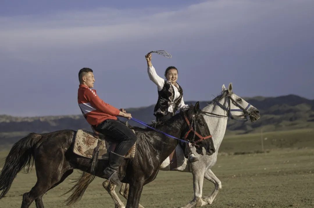 《策馬揚鞭》張金文