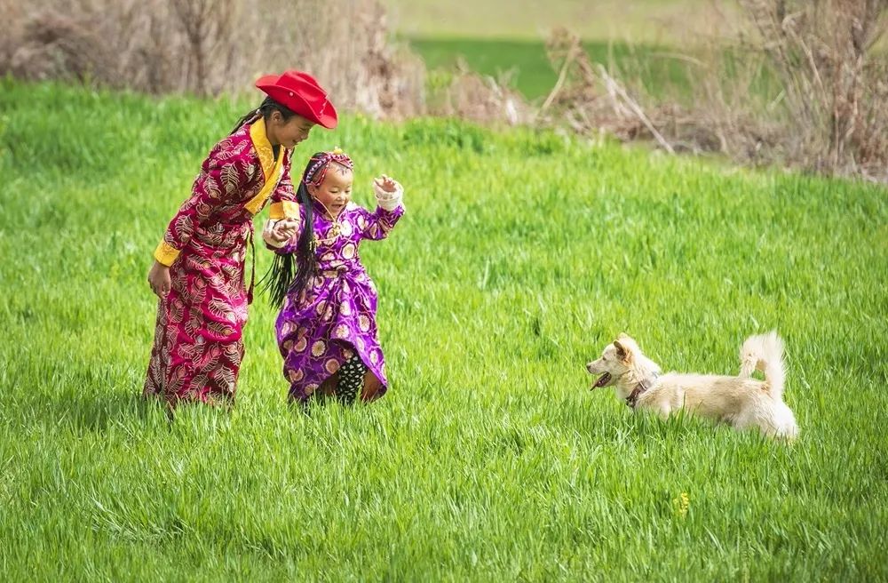 《春天里》王蘭英