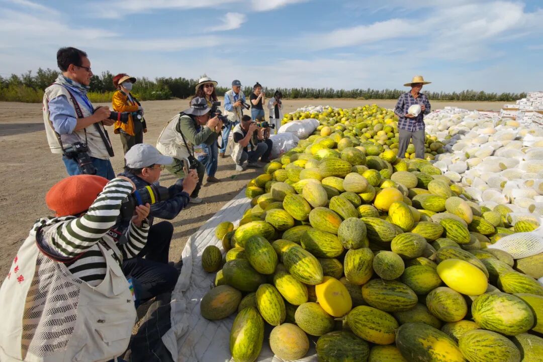 攝影家們專注創作