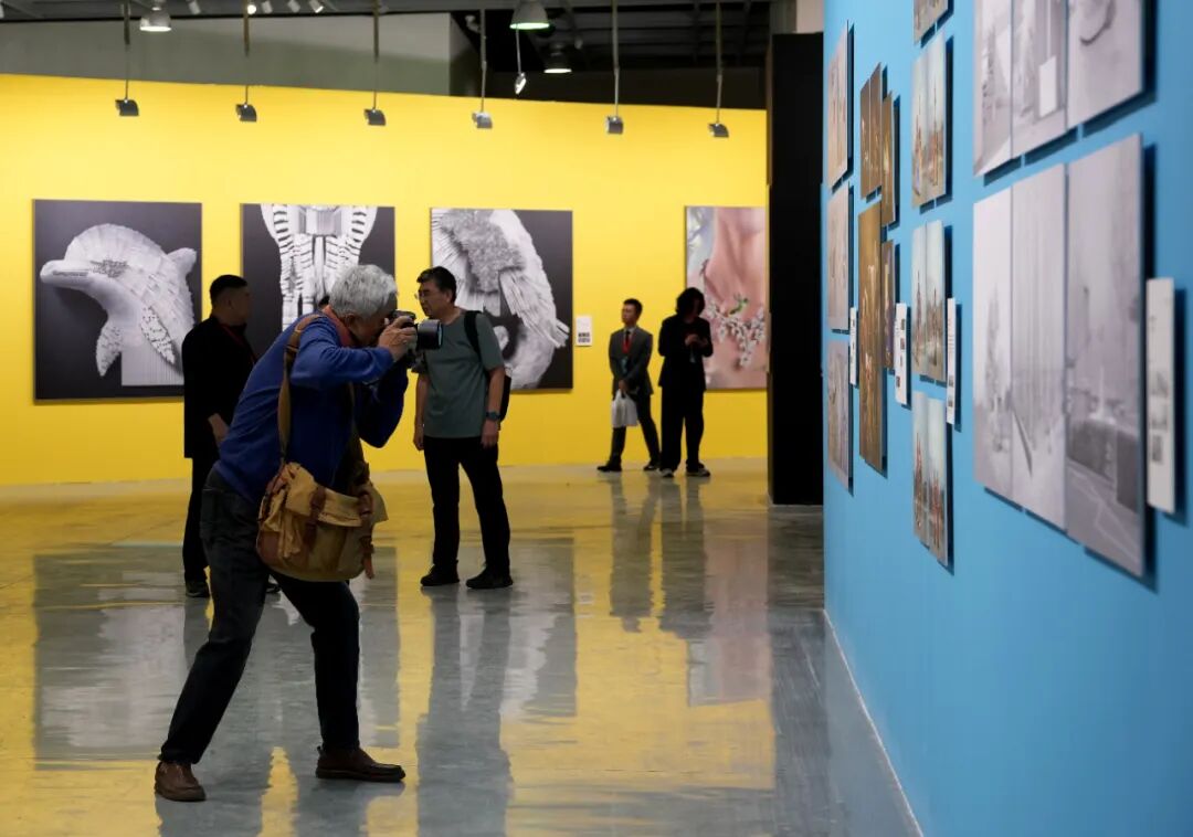 展覽現場 張雙雙 攝