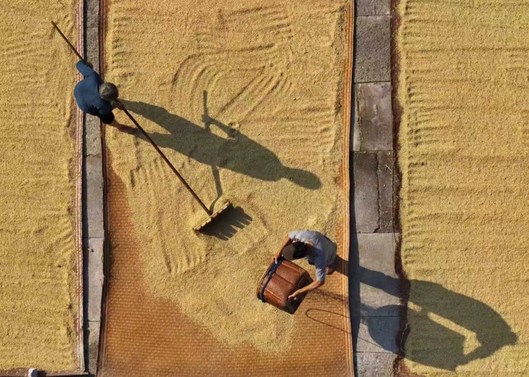 《歲月如金》盧虹 攝