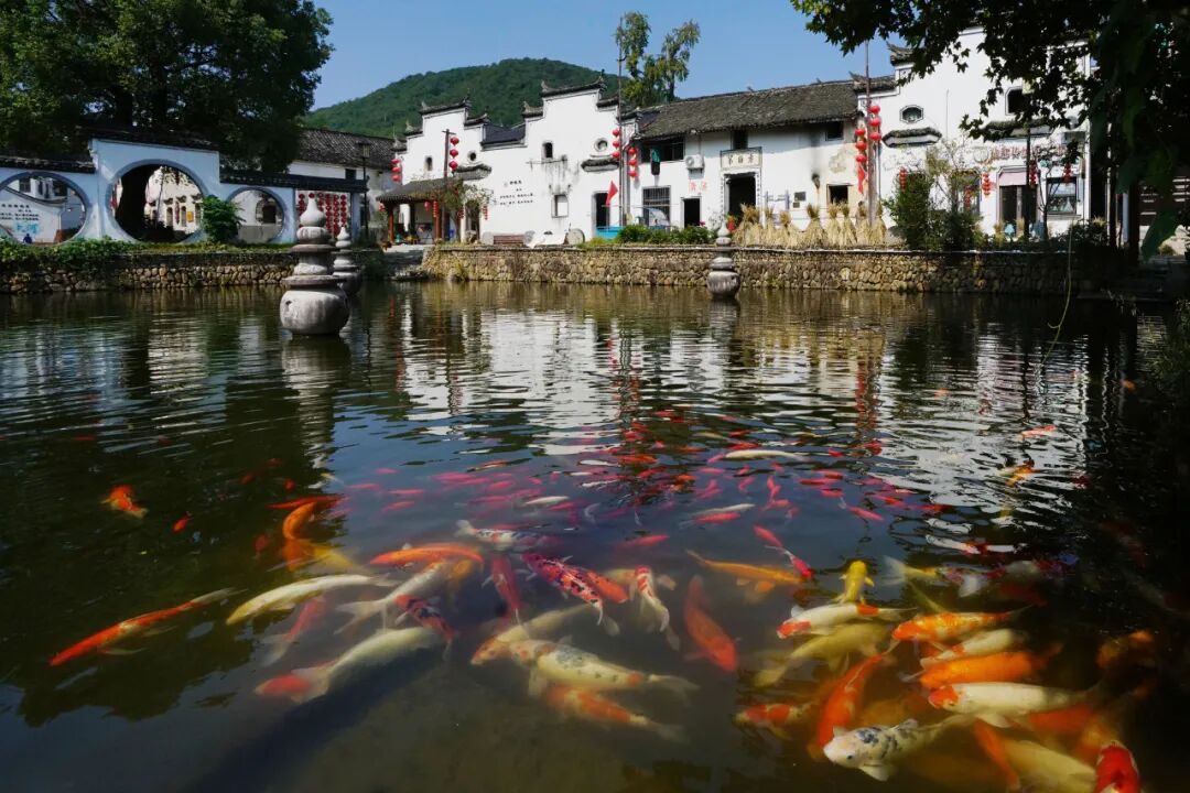 《歡愉》廖麗珊 攝